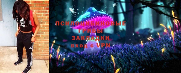 СК Верея