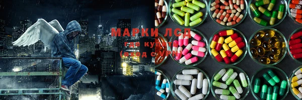СК Верея