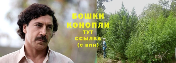 СК Верея
