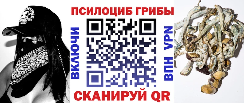 Псилоцибиновые грибы GOLDEN TEACHER  Ветлуга 